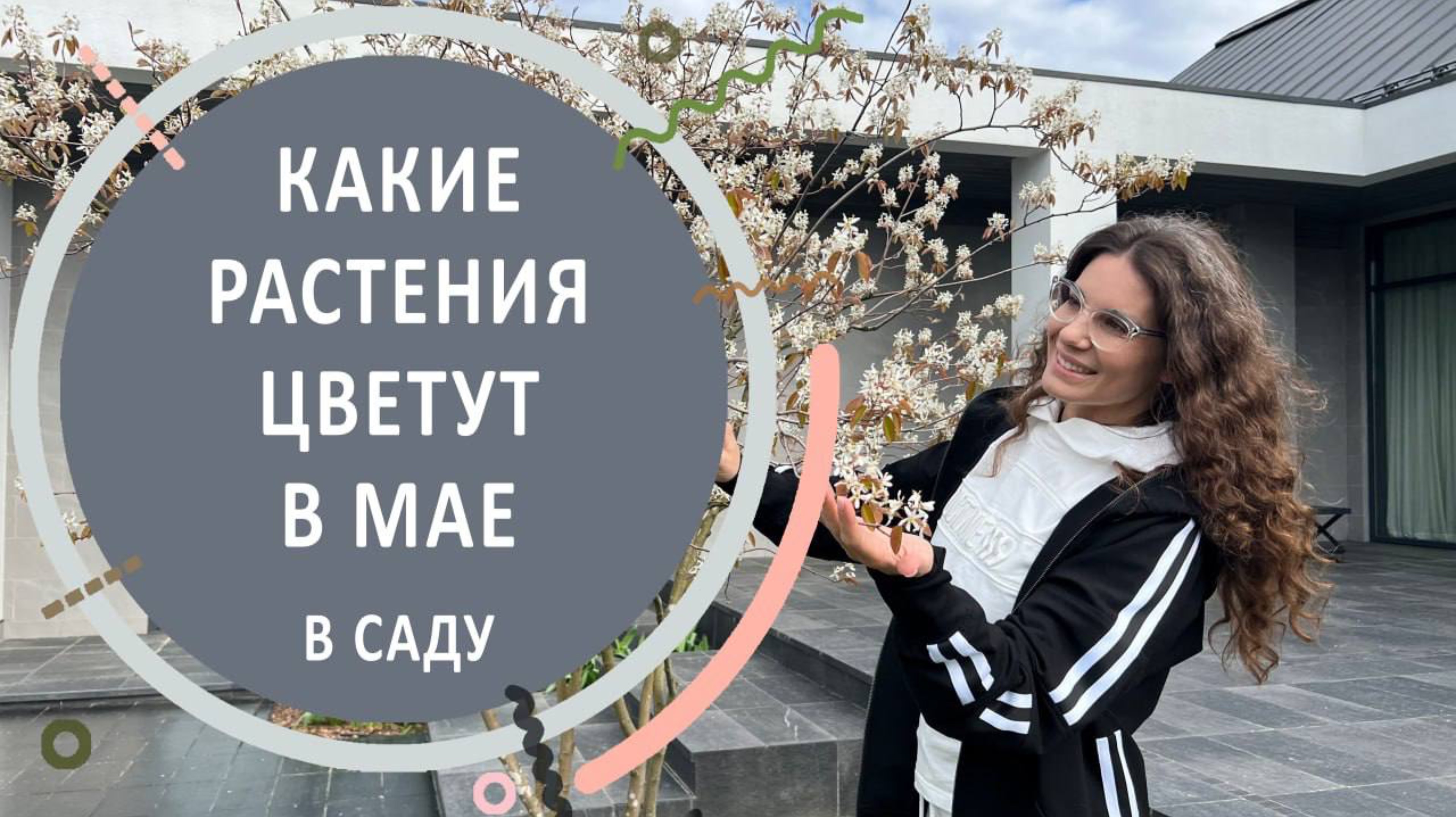 Какие растения цветут в мае в саду