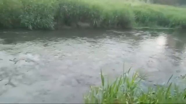 ОТКРЫТИЕ ДОРОГ С ПОМОЩЬЮ РЕКИ