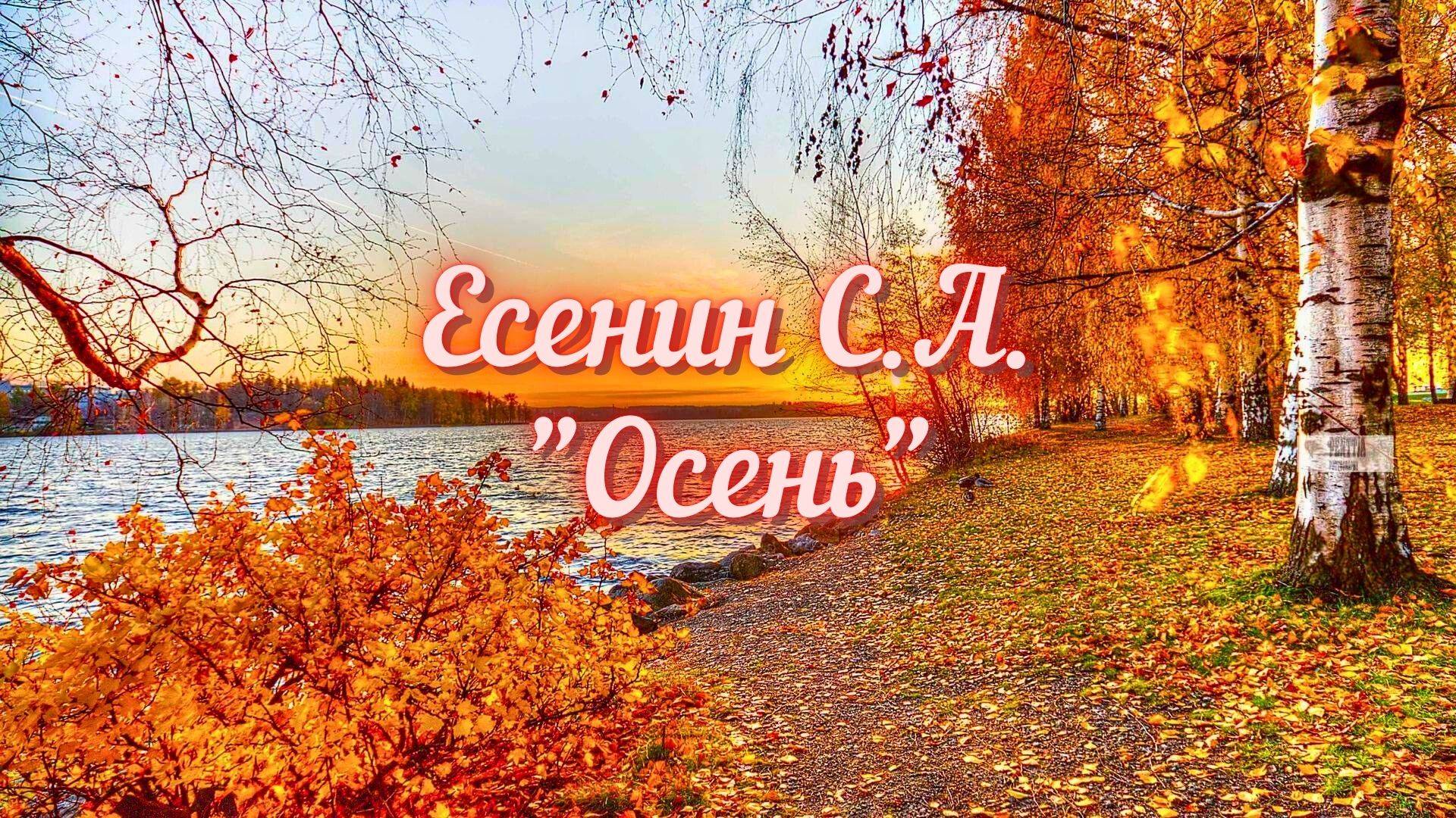 Есенин С.А. Осень (Тихо в чаще можжевеля по обрыву...)