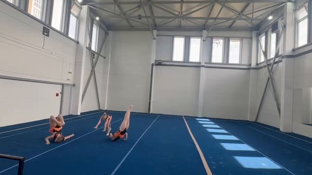 ТР 1 спортивный, Васенкова - Фефелова - Негреева, МАУДО ДТДиМ, Комбинированное упражнение