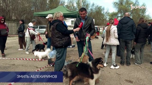 Клуб Шико. Выпуск от 10.05.25