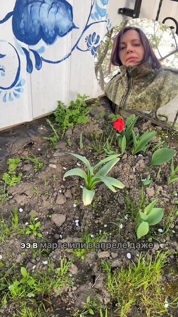 С праздником Великой Победы!