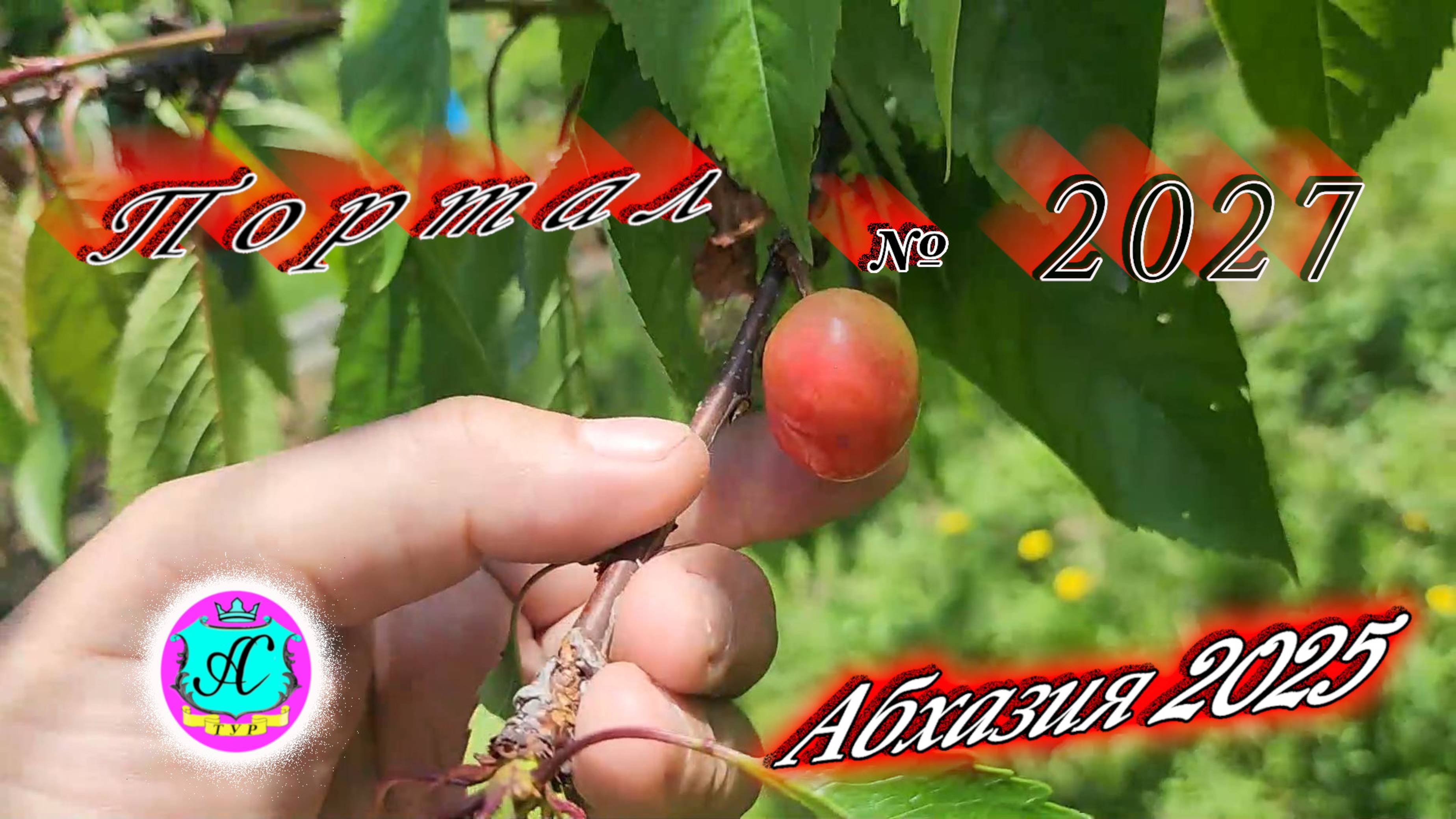 #Абхазия2025🌴 10 мая. Выпуск №2027🌡вчера +32°🌡ночью  +16°🐬море +16,4°❗ХУдЕЕМ с С.В. = 84,65 кг