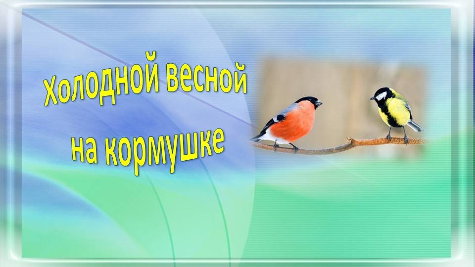 Холодной весной на кормушке снегири и синицы