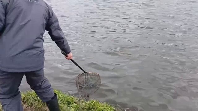 Немного с водоёма !