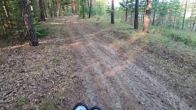 Прогулка по лесу на мопеде КОЛЬТ 2, 9.05.25.
