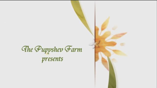 Испытание самодельного солнечного коллектора из 20-й ПНД трубы для подогрева воды открытого бассейна