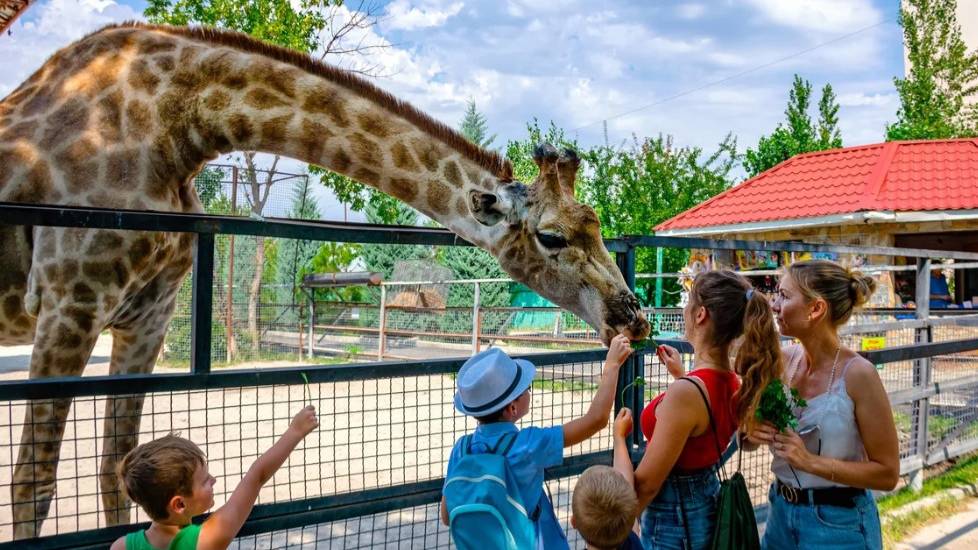 КРЫМ. БЕЛОГОРСК. Парк Львов "Тайган". Часть 2-ая.