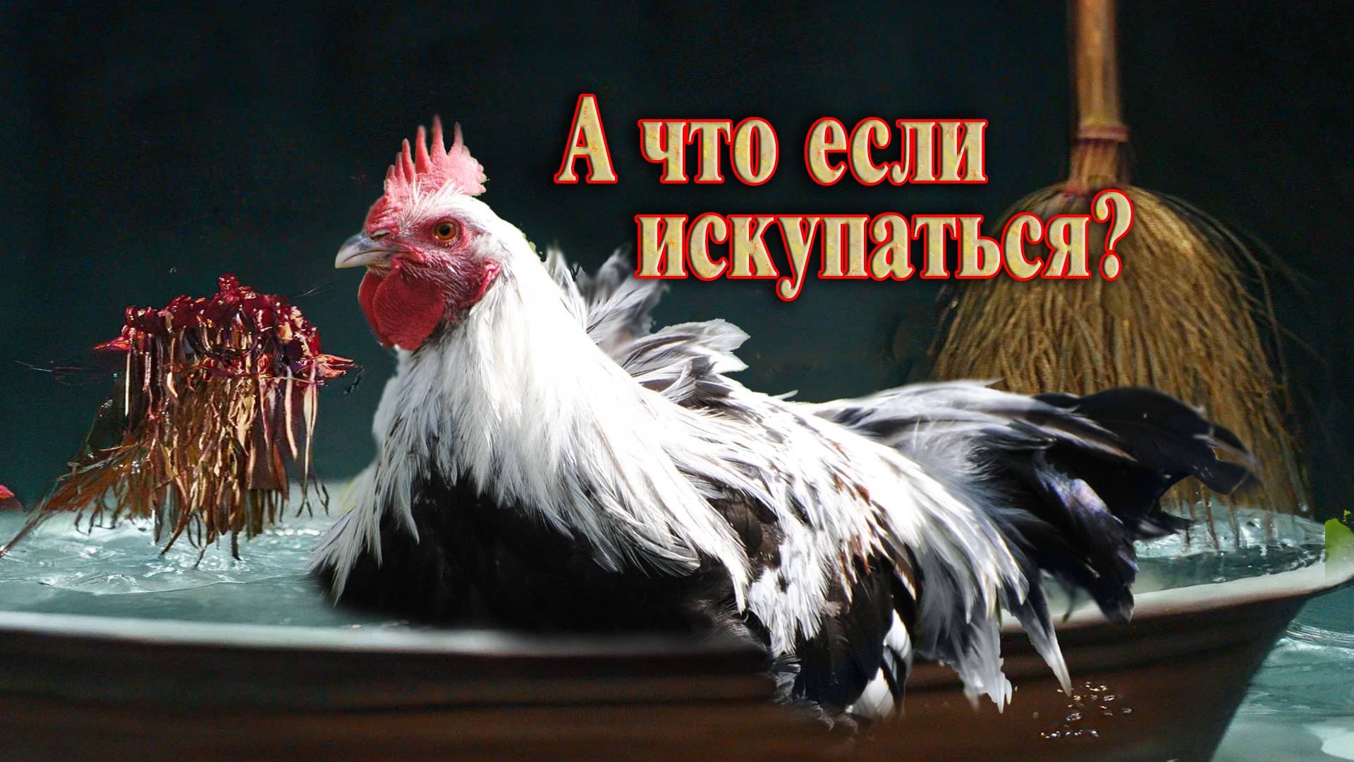 Обустройство курятника. Зольная ванна для кур в зимнее время.