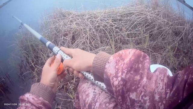 Боковой кивок на мормышку🎣 Наживка опарыш, навозный червь.