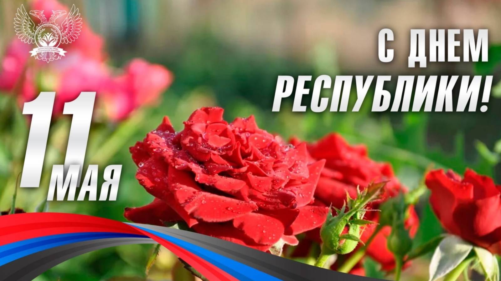 С Днём Республики ДНР !!!!!