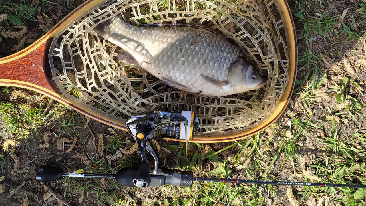 МОРМЫШИНГ. Ивановский пруд, утром 7 мая 2025 года