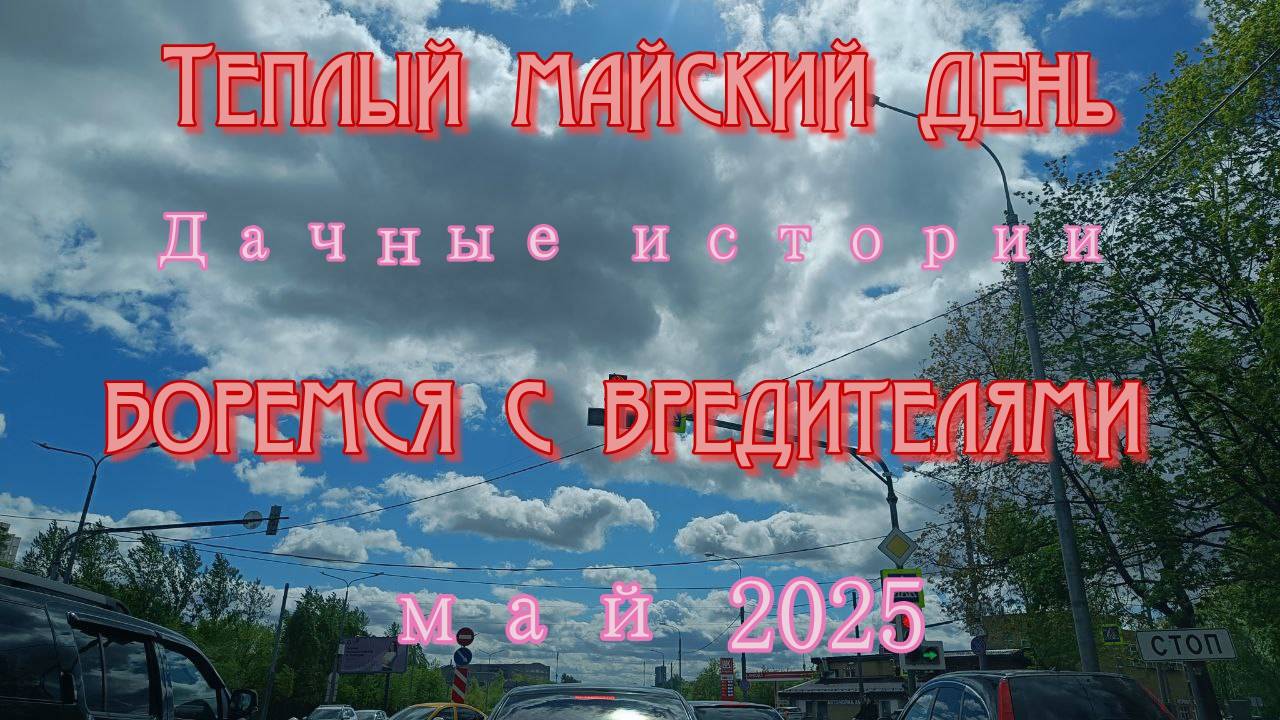 Дачные истории| Теплый день в мае | Борьба с одуванчиками и улитками