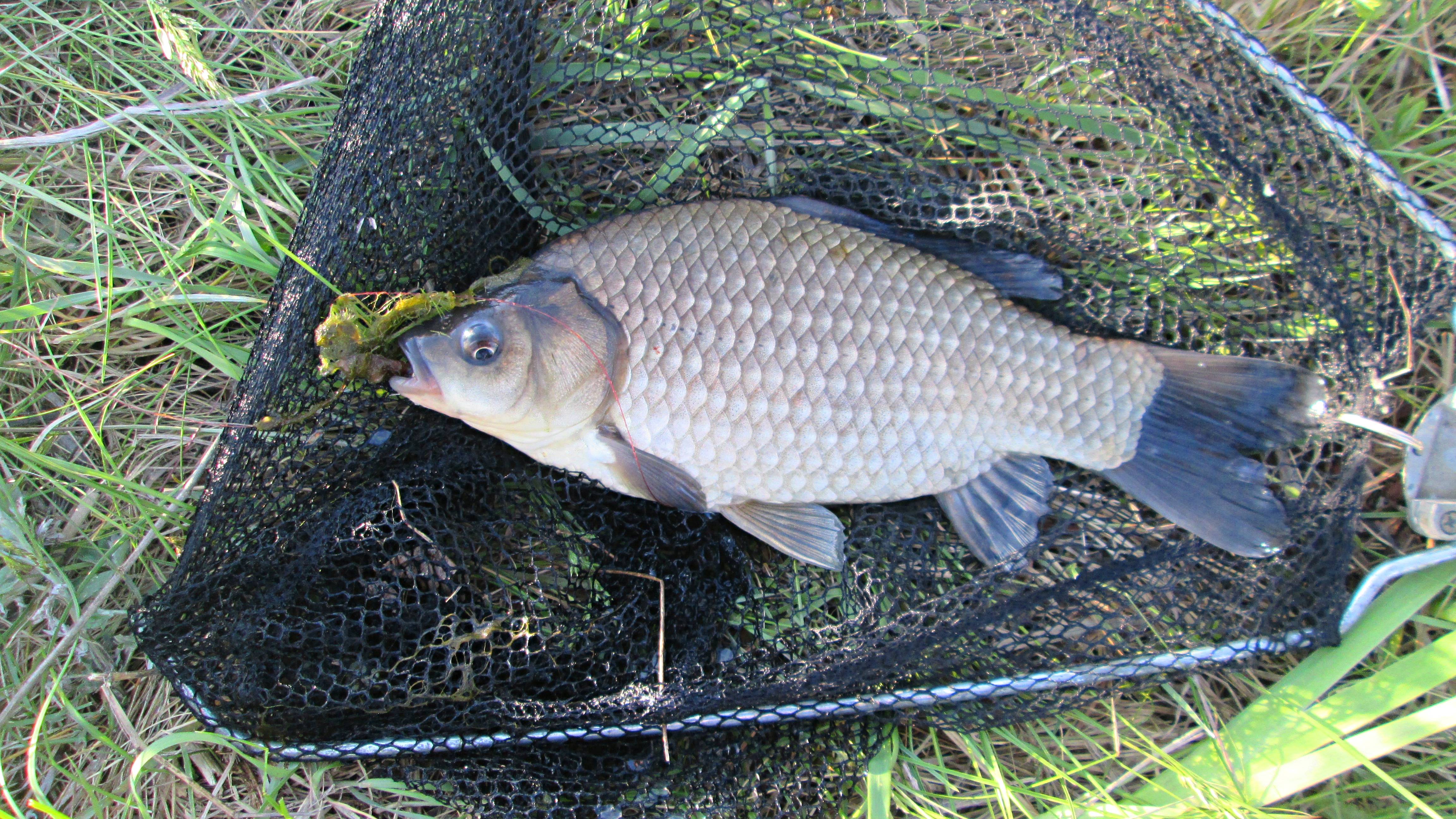 Открыли сезон рыбалки