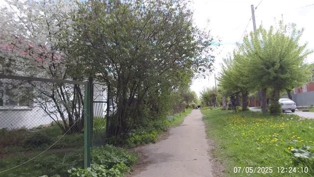 Зеленая в Йошкар-Ола май 2025