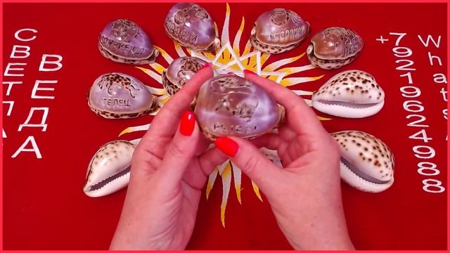 Гадание на ракушках Скорые перемены #онлайн #таро Светлана ВЕДА