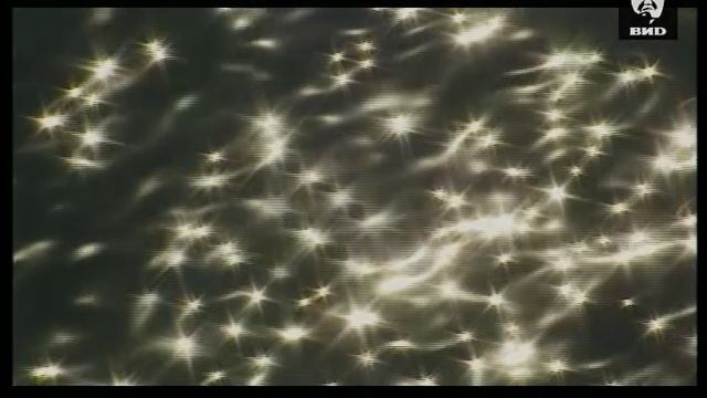 Непутевые заметки 21.02.1999