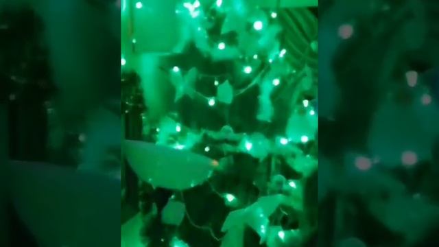 Новый 2021 год (архивное видео )