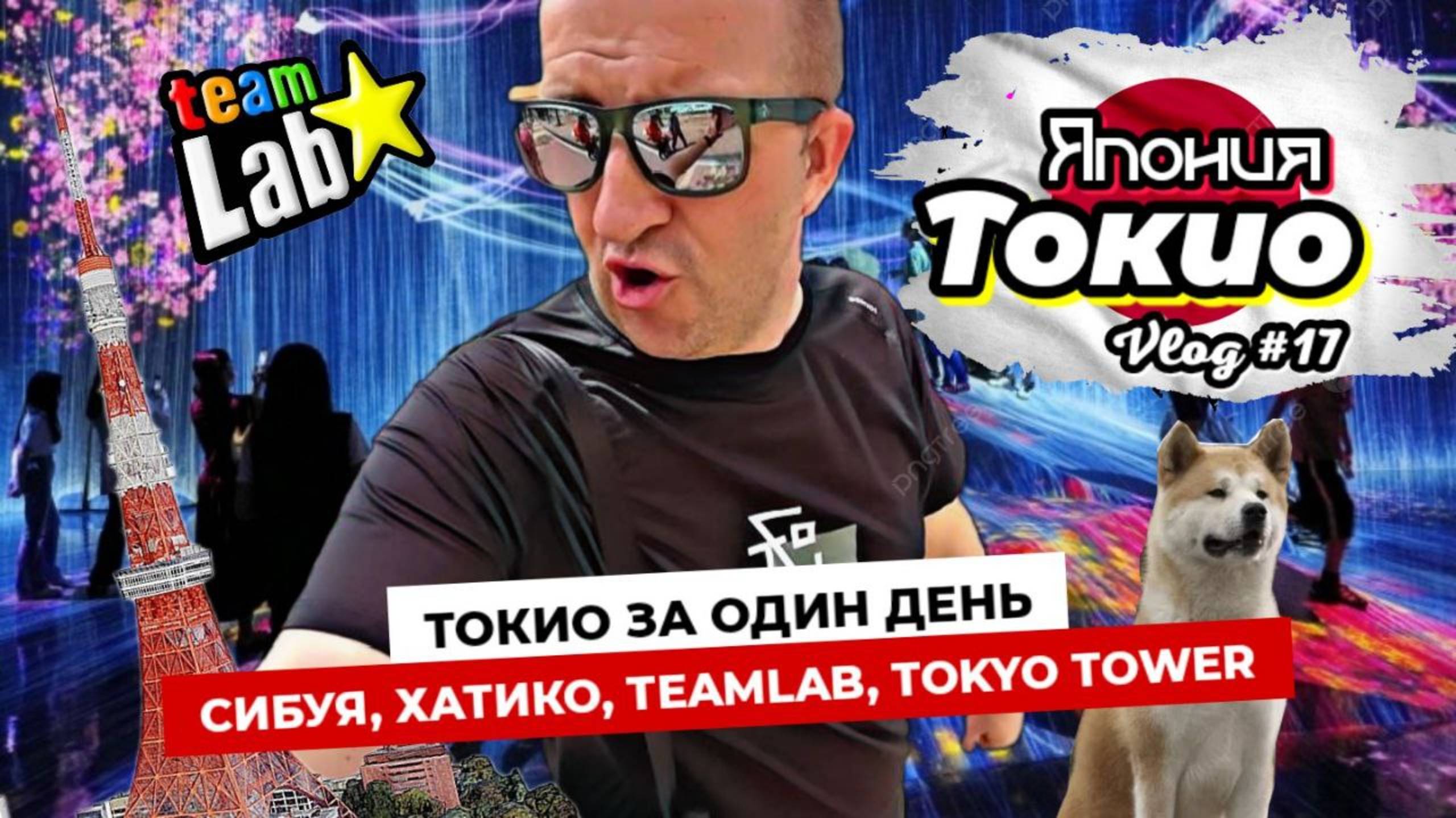 Токио за один день. Сибуя и площадь Хатико. Дизайнерский туалет. Крутейший TeamLab и вид с небес!