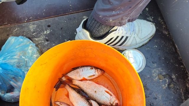 Рыбалка с ЛОДКИ НА ГОН..КЛЕВ прет..!!!