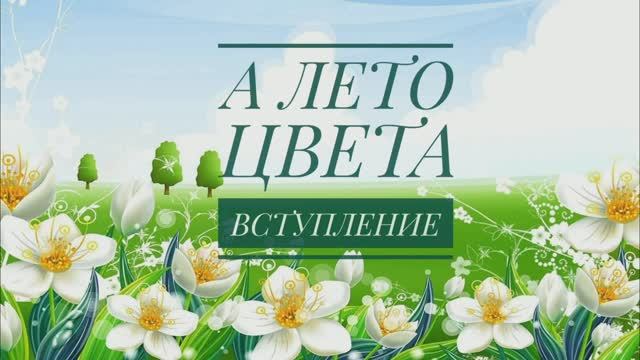 ✨Моё вступление в СП "А лето цвета.. -3" с Людмилой Красноперовой✨ Участник 18😉