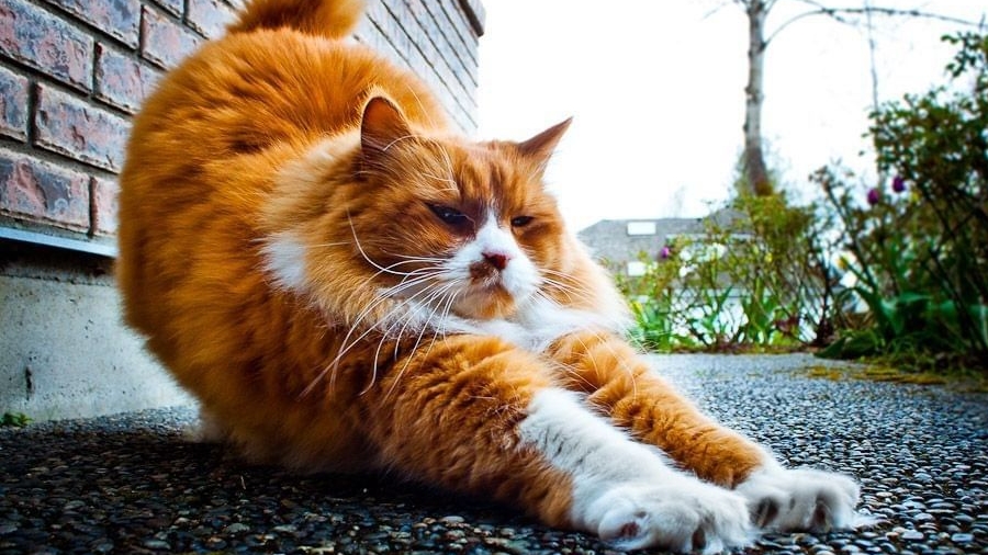 Добавь себе настроения! Музыкальная открытка.