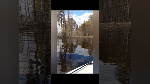 Онежское озеро ❤