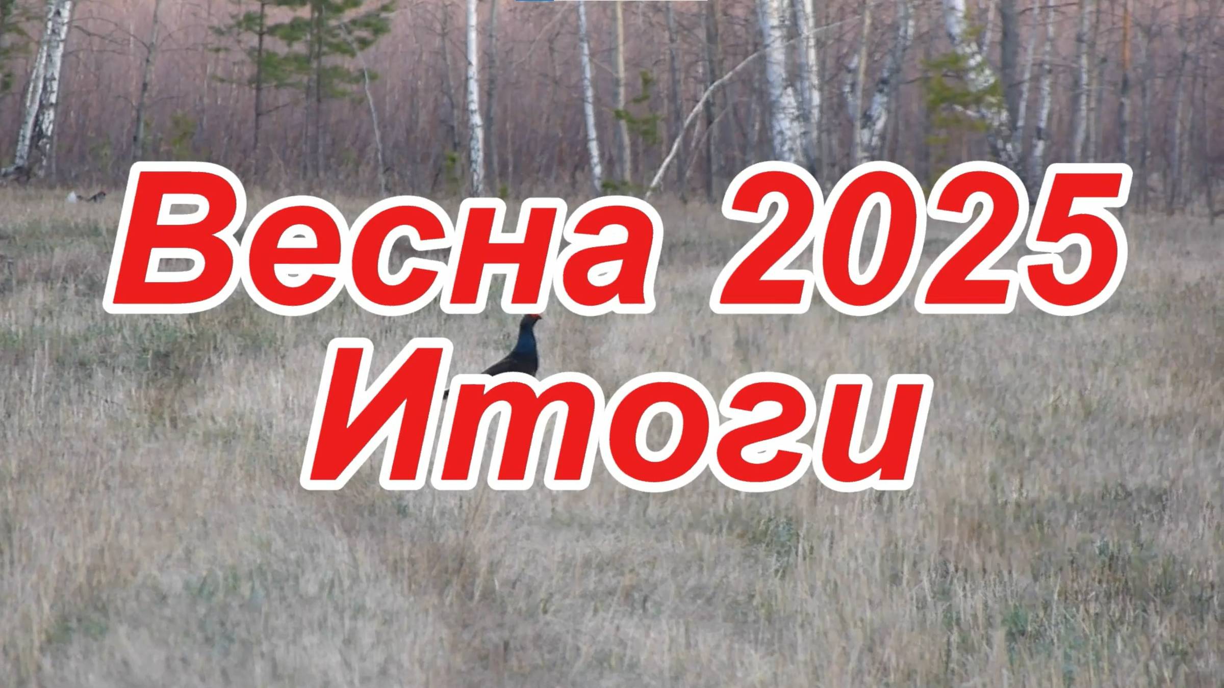 Весна 2025 Итоги
