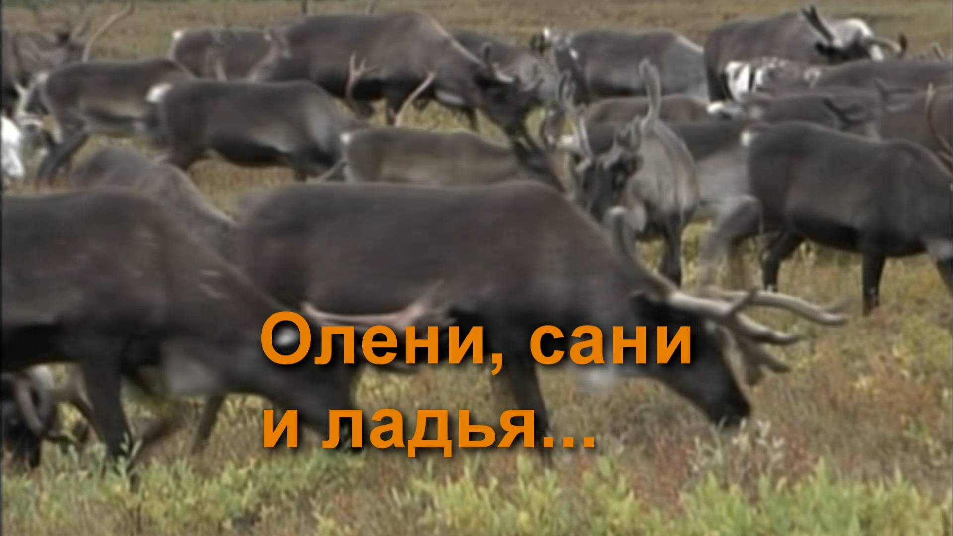 Олени сани и ладья