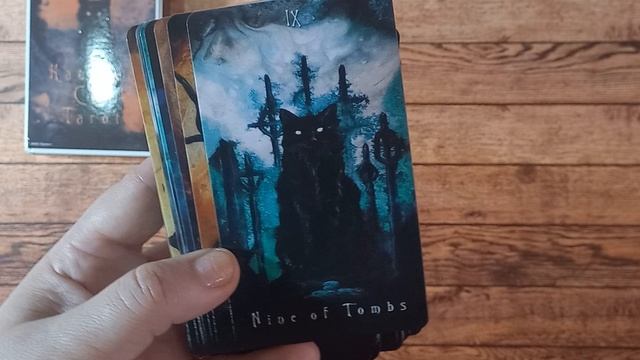 Обзор на колоду "Таро котов-призраков"