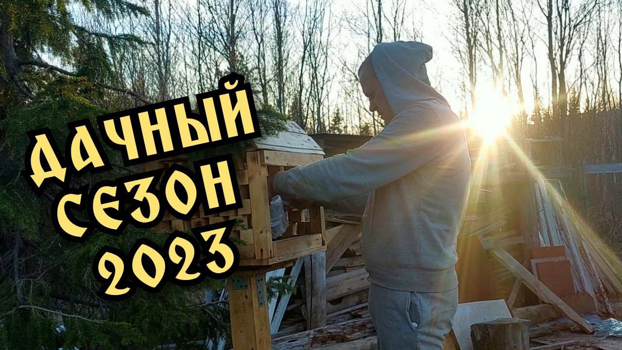 Дача. Начинаю дачный сезон 2023. Посадка цветов и перцев.