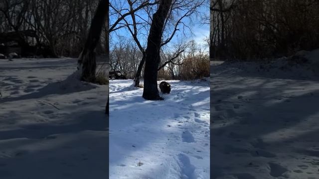 86 Fabian - I will love видеозалипалка