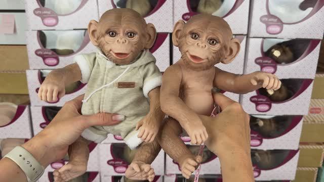 Обзор обезьянок - шимпанзе от Guca 😍