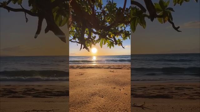 КАК РОЖДАЕТСЯ ЦИВИЛИЗАЦИЯ