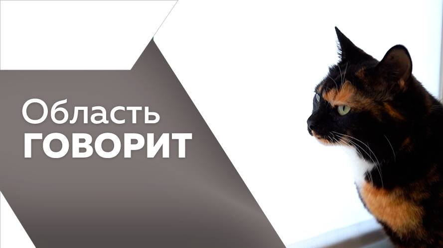 Область говорит 14.05.2025г.