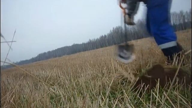 Разнообразный коп на поле