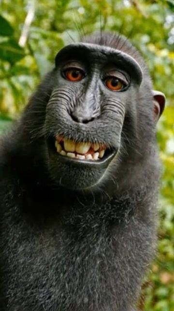 Улыбайтесь почаще