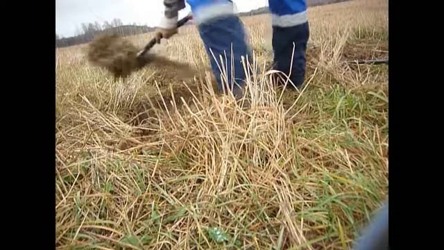 Вот эта находка!