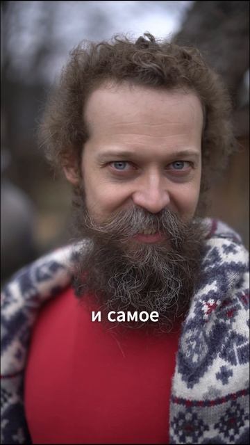 Какая тарелка самая лучшая #глина #искусство #керамика #творчество #гончар