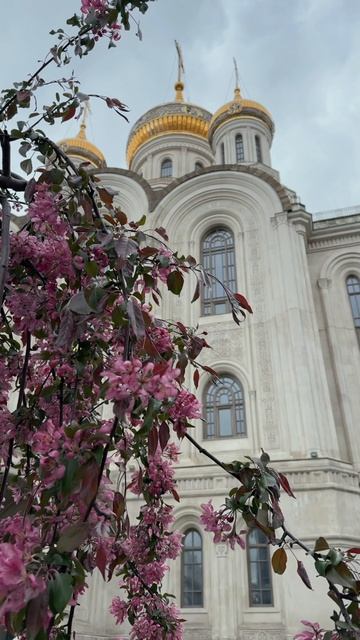 Монастырский сад #сад #монастырь #весна