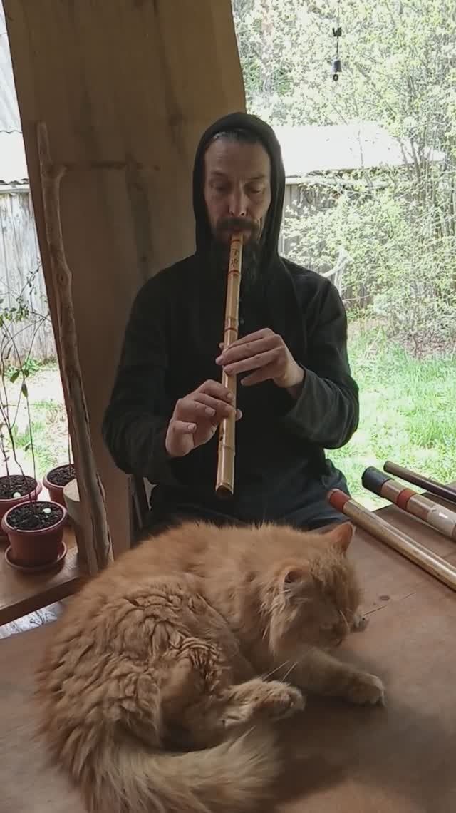 Импровизация на бамбуковой флейте сяо.