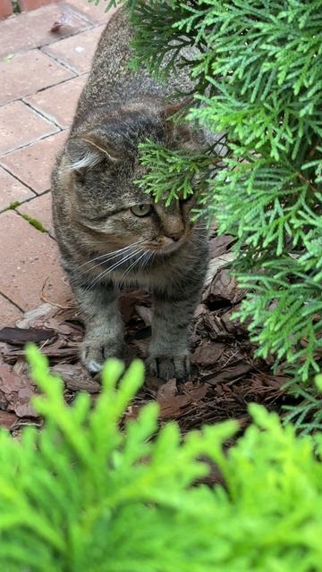 Какие планы на сегодня?