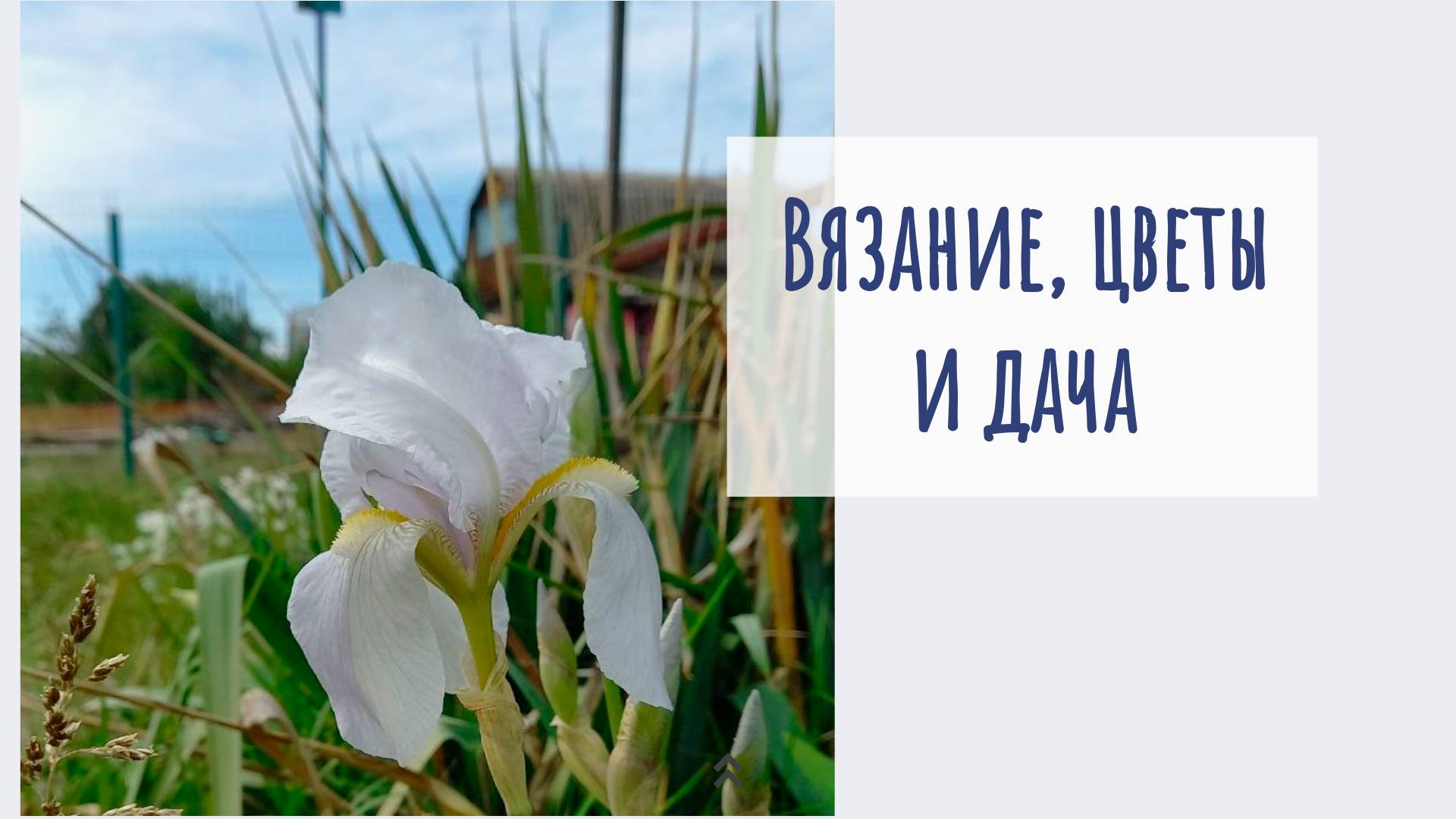 Влог про дачу, вязание, пряжу и новый чехол.