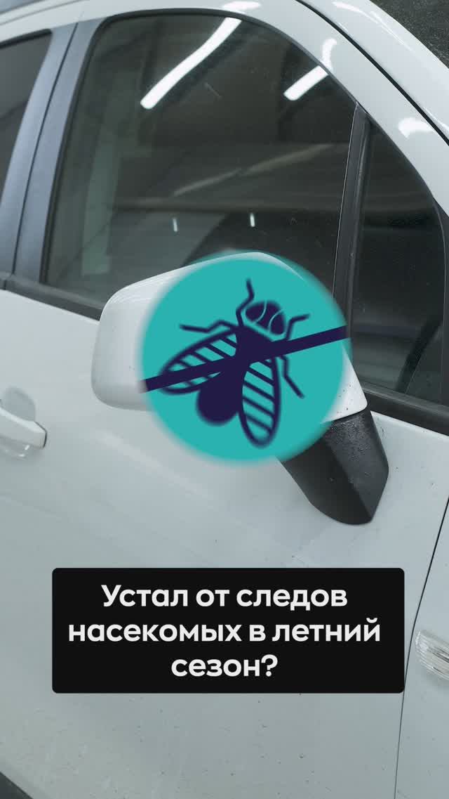 Следы от насекомых на кузове авто - чем убрать? Bug Fix #детейлинг #detailing #smartopen