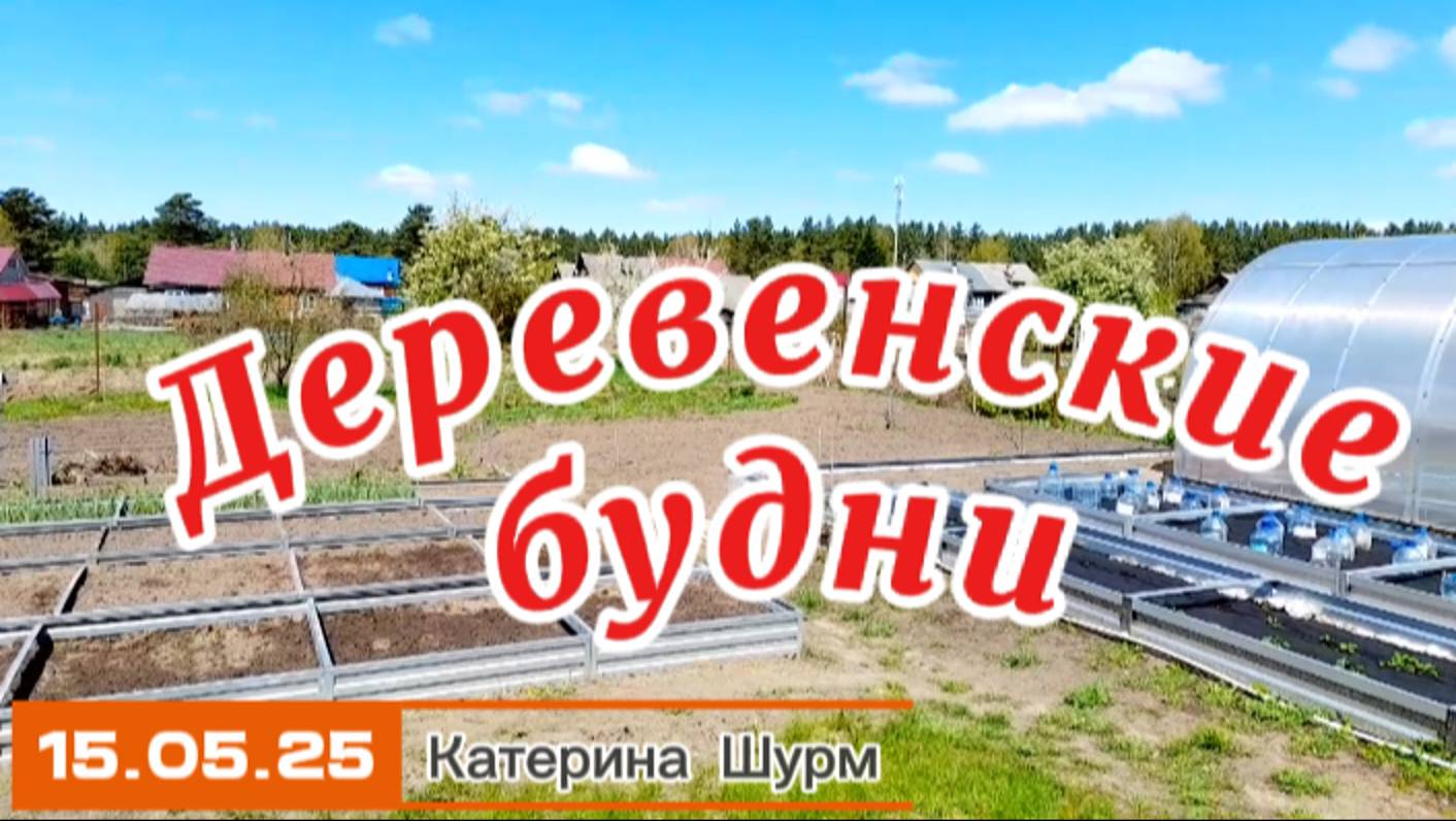 #3|25 Деревенские будни | Сибирь| Огород| Грядки| Теплицы |Подпорная стенка | Сажаю семена |Рассада