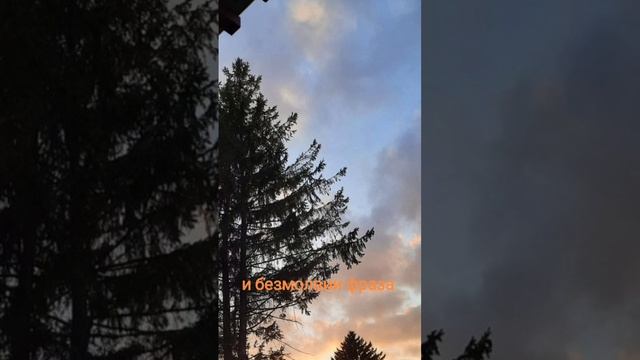 Вспомни. Аффирмации. Надежда Прохорова #вселеннаяя #душадух #любовь