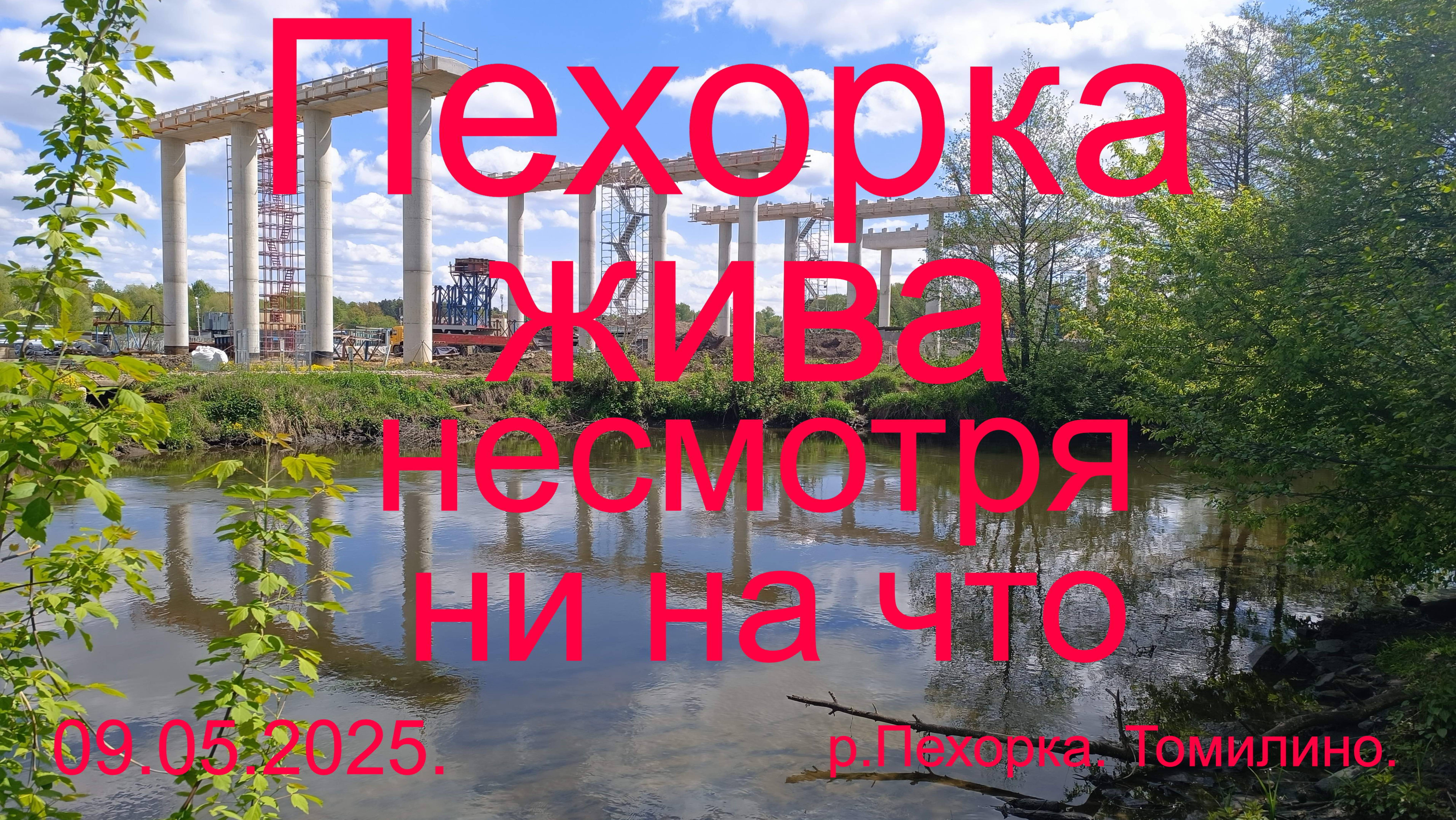 Пехорка жива несмотря ни на что. 09.05.2025. посёлок Томилино. река Пехорка.