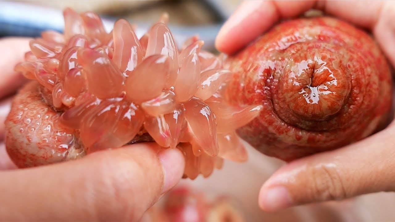 Китайская уличная еда — морской анемон, приготовленный тремя способами Циндао, морепродукты, Китай