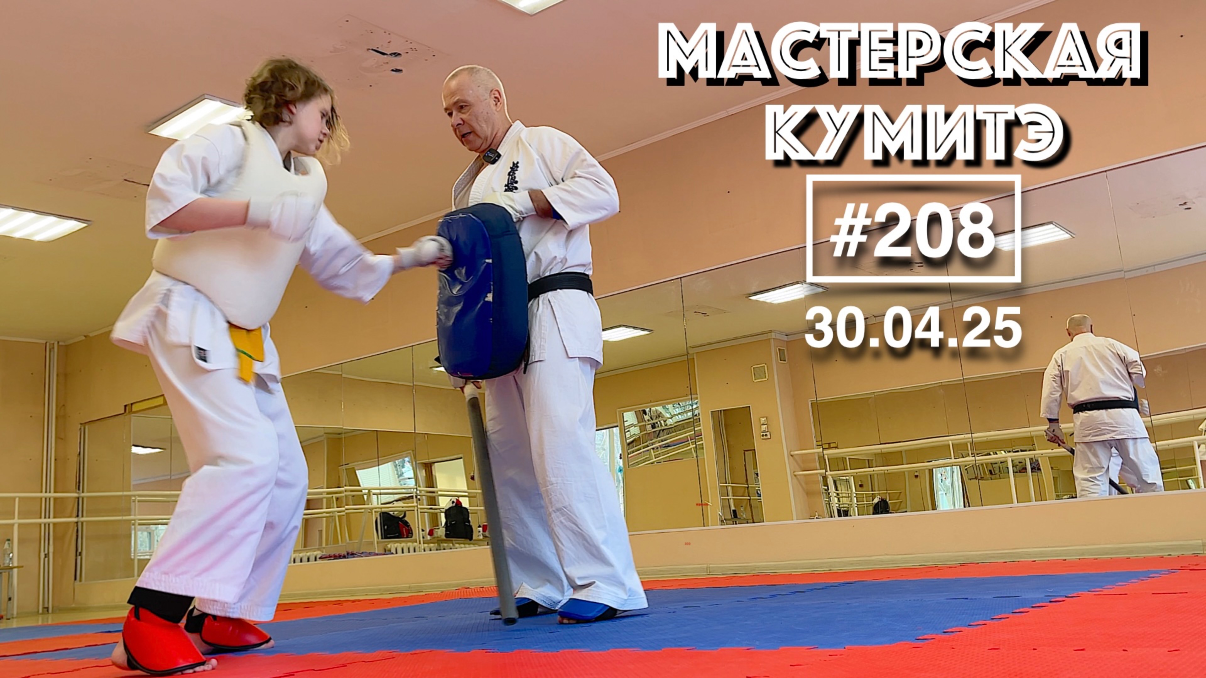 Мастерская Кумитэ Кёкусинкай (208) / Кумитэ / Подготовка к соревнованиям (30.04.25)