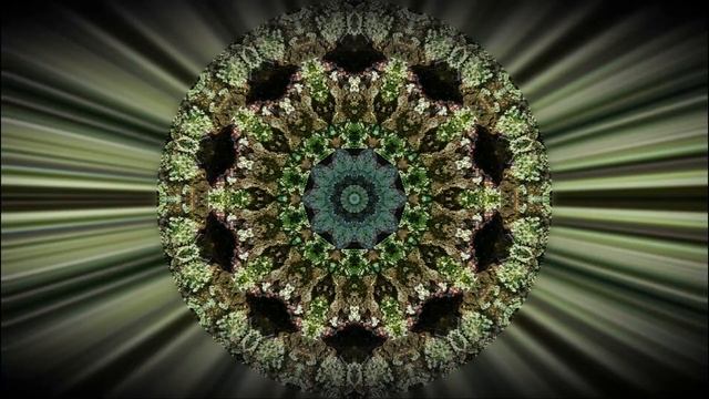 EMPI - ＂Hypnosis＂